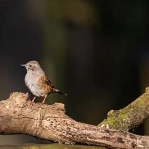 몸캠피싱으로 인한 2차 피해 유형과 주의사항