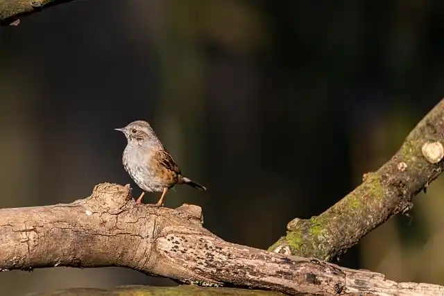 몸캠피싱으로 인한 2차 피해 유형과 주의사항