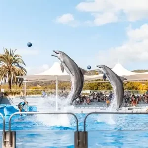 비아그라 사이트 검색 전 알아두면 좋은 의약품 구매 절차