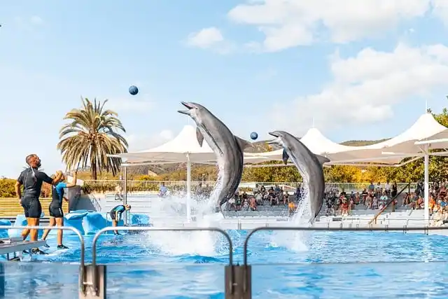 비아그라 사이트 검색 전 알아두면 좋은 의약품 구매 절차